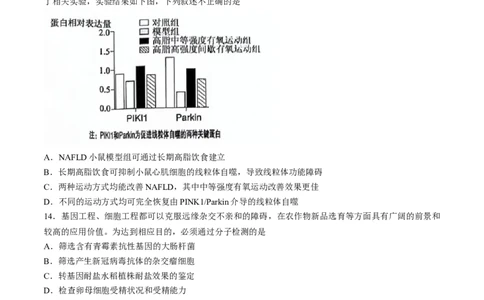 2024届吉林省吉林市普通高中高三第四次模拟考试生物试题(无答案)_2024年5月_01按日期_13号_2024届吉林省吉林市高三第四次模拟考试_2024届吉林省吉林市普通高中高三第四次模拟考试生物