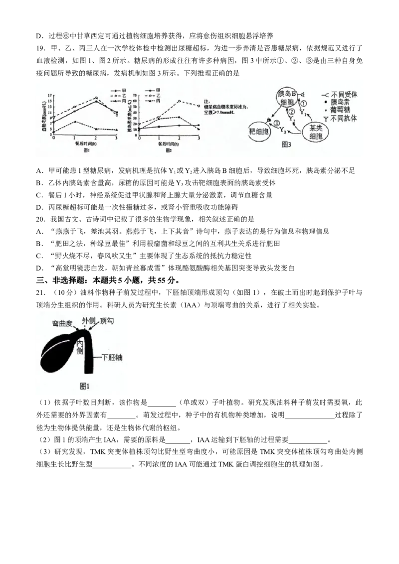 2024届吉林省吉林市普通高中高三第四次模拟考试生物试题(无答案)_2024年5月_01按日期_13号_2024届吉林省吉林市高三第四次模拟考试_2024届吉林省吉林市普通高中高三第四次模拟考试生物