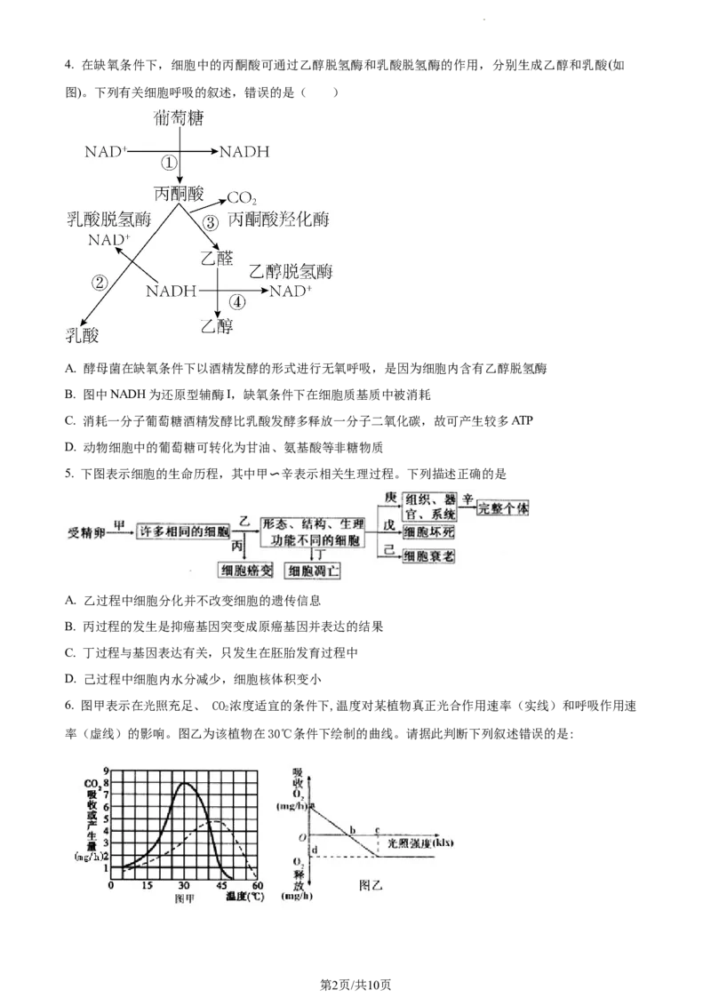 精品解析：辽宁省北镇市三中2023-2024学年高三上学期第二次月考生物试题（原卷版）(1)_2023年10月_0210月合集_2024届辽宁省北镇市第三高级中学高三上学期第二次月考