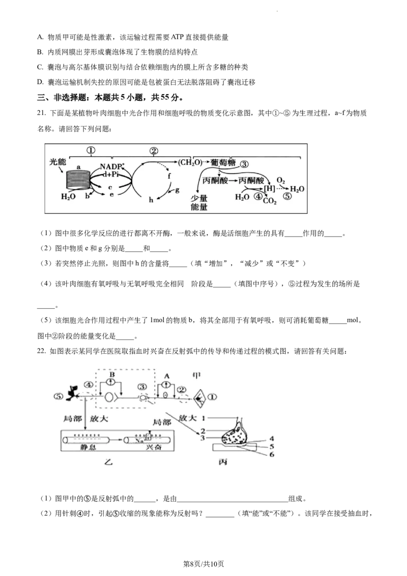 精品解析：辽宁省北镇市三中2023-2024学年高三上学期第二次月考生物试题（原卷版）(1)_2023年10月_0210月合集_2024届辽宁省北镇市第三高级中学高三上学期第二次月考