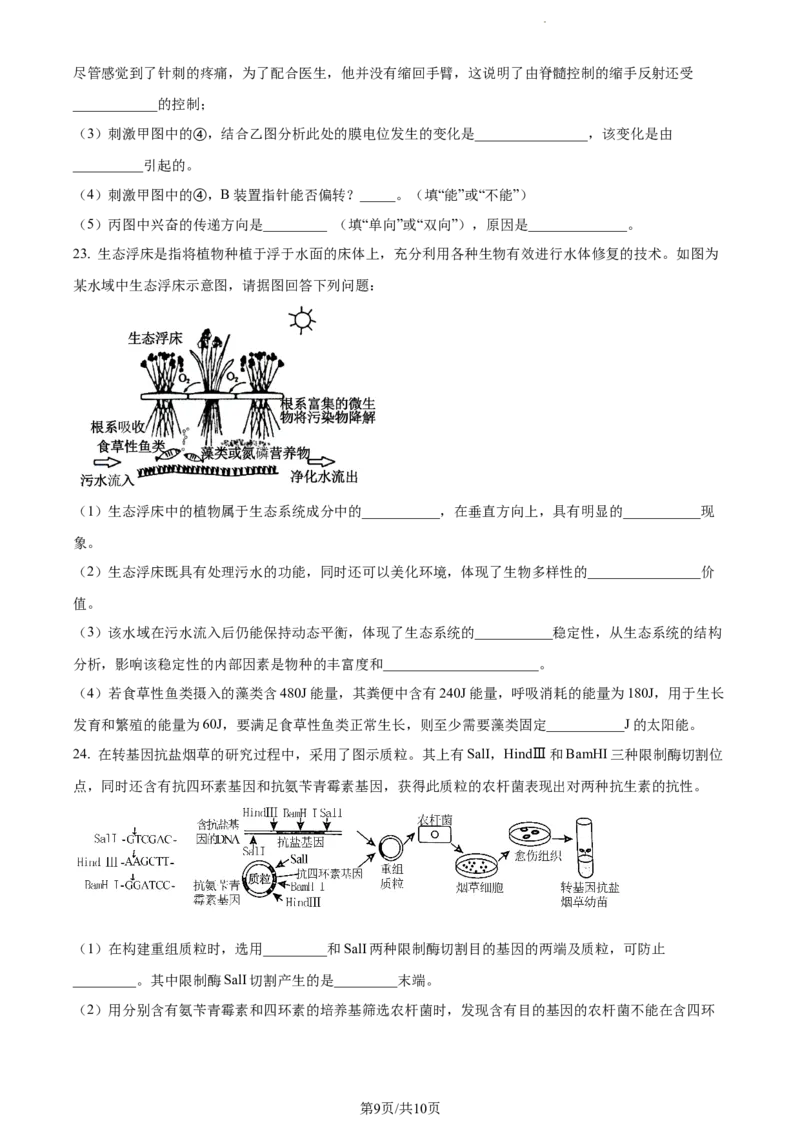 精品解析：辽宁省北镇市三中2023-2024学年高三上学期第二次月考生物试题（原卷版）(1)_2023年10月_0210月合集_2024届辽宁省北镇市第三高级中学高三上学期第二次月考