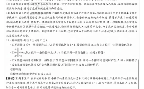 生物学参考答案_2023年9月_01每日更新_22号_2024届湖南省长沙市雅礼中学高三上学期月考试卷（一）_湖南省长沙市雅礼中学2024届高三上学期月考试卷（一）生物