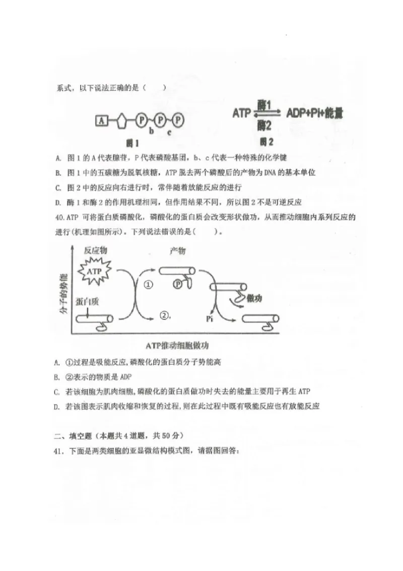 黑龙江省龙西北八校联合体2022-2023学年高三上学期开学考试生物试题(1)_2023年7月_027月合集_2023届黑龙江省龙西北八校联合体高三上学期开学考试