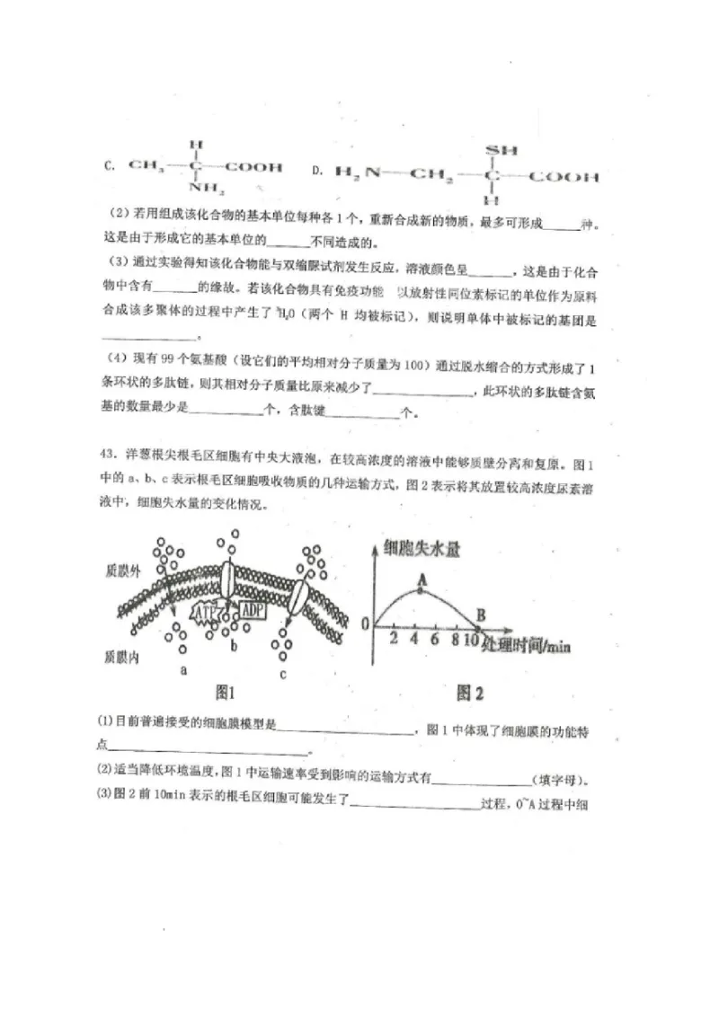 黑龙江省龙西北八校联合体2022-2023学年高三上学期开学考试生物试题(1)_2023年7月_027月合集_2023届黑龙江省龙西北八校联合体高三上学期开学考试