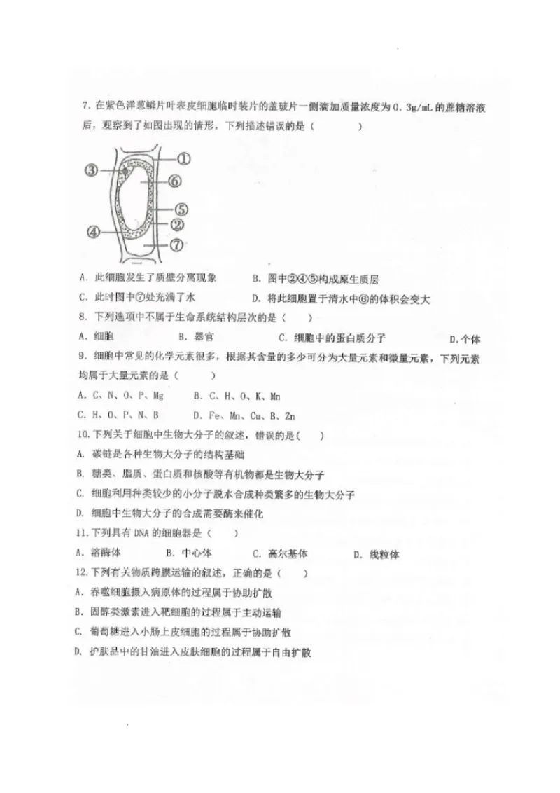 黑龙江省龙西北八校联合体2022-2023学年高三上学期开学考试生物试题(1)_2023年7月_027月合集_2023届黑龙江省龙西北八校联合体高三上学期开学考试