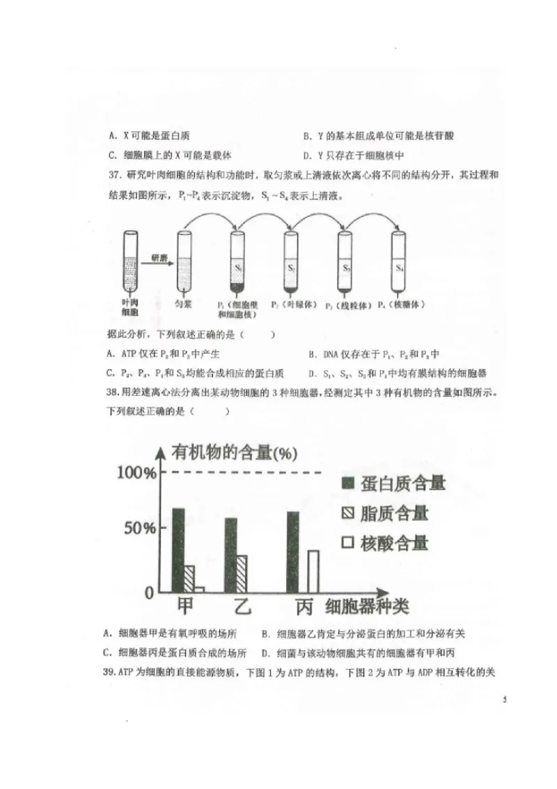 黑龙江省龙西北八校联合体2022-2023学年高三上学期开学考试生物试题(1)_2023年7月_027月合集_2023届黑龙江省龙西北八校联合体高三上学期开学考试