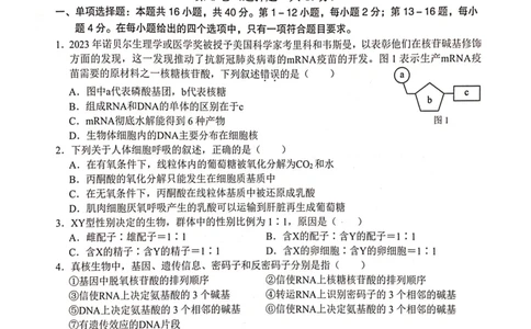 2024届&ldquo;贵百河&rdquo;4月高三质量调研联考试题（生物）_2024年4月_01按日期_18号_2024届广西&ldquo;贵百河&rdquo;4月高三质量调研联考_2024届&ldquo;贵百河&rdquo;4月高三质量调研联考试题（生物）