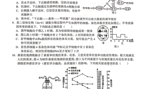 2024届&ldquo;贵百河&rdquo;4月高三质量调研联考试题（生物）_2024年4月_01按日期_18号_2024届广西&ldquo;贵百河&rdquo;4月高三质量调研联考_2024届&ldquo;贵百河&rdquo;4月高三质量调研联考试题（生物）