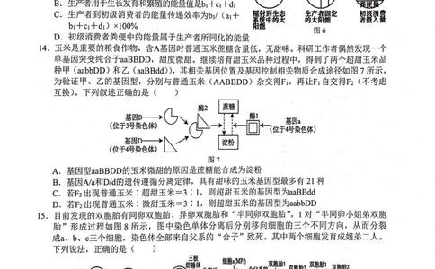 2024届&ldquo;贵百河&rdquo;4月高三质量调研联考试题（生物）_2024年4月_01按日期_18号_2024届广西&ldquo;贵百河&rdquo;4月高三质量调研联考_2024届&ldquo;贵百河&rdquo;4月高三质量调研联考试题（生物）