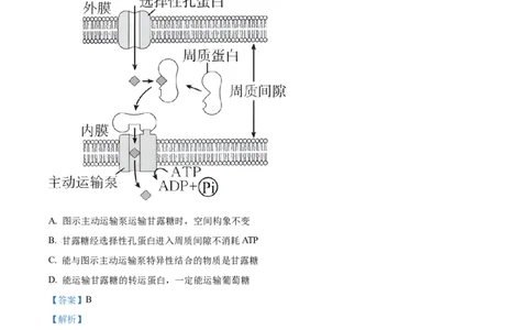 生物答案(1)_2023年10月_0210月合集_2024届安徽省巢湖市第一中学高三上学期10月月考试题_安徽省巢湖市第一中学2024届高三上学期10月月考试题生物