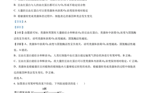 生物答案(1)_2023年10月_0210月合集_2024届安徽省巢湖市第一中学高三上学期10月月考试题_安徽省巢湖市第一中学2024届高三上学期10月月考试题生物