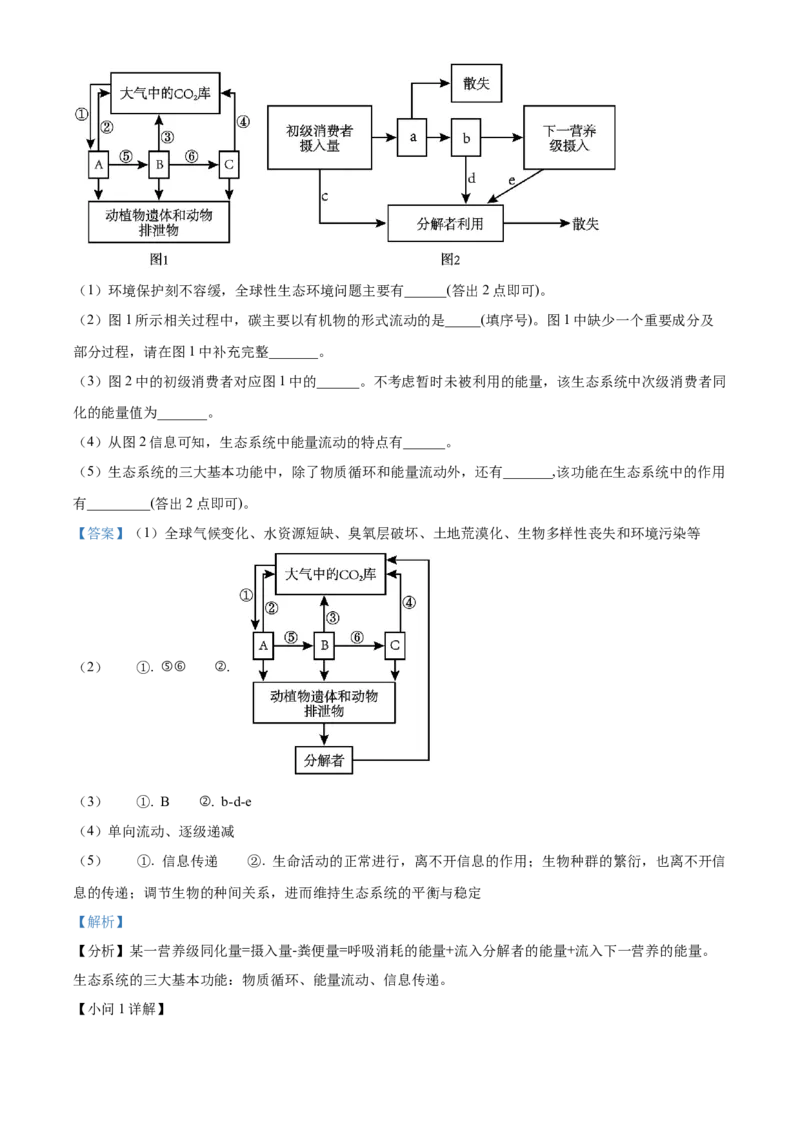 生物答案(1)_2023年10月_0210月合集_2024届安徽省巢湖市第一中学高三上学期10月月考试题_安徽省巢湖市第一中学2024届高三上学期10月月考试题生物