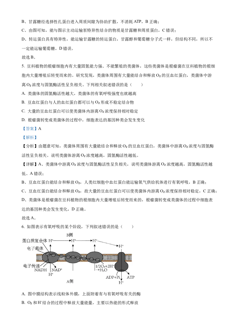 生物答案(1)_2023年10月_0210月合集_2024届安徽省巢湖市第一中学高三上学期10月月考试题_安徽省巢湖市第一中学2024届高三上学期10月月考试题生物