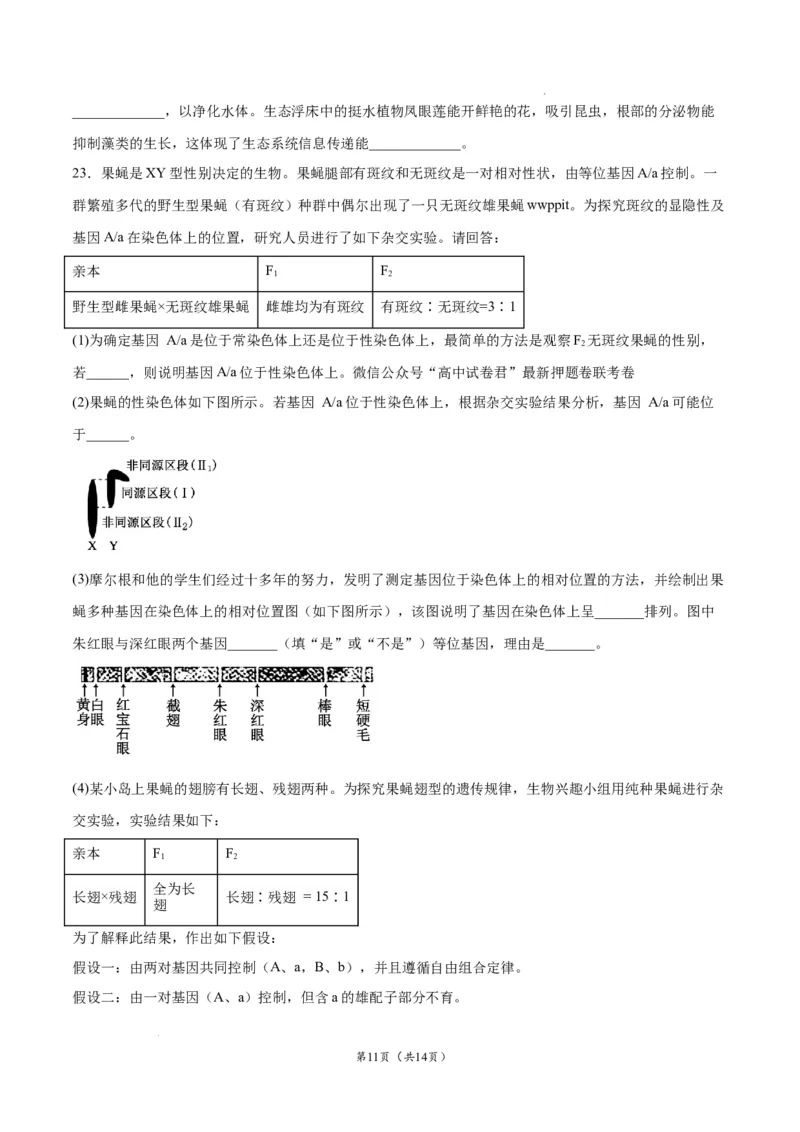 生物（江苏卷）（考试版）_2023高考押题卷_学易金卷-2023学科网押题卷（各科各版本）_2023学科网押题卷-学易金卷-生物_生物（江苏卷）-学易金卷：2023年高考考前押题密卷