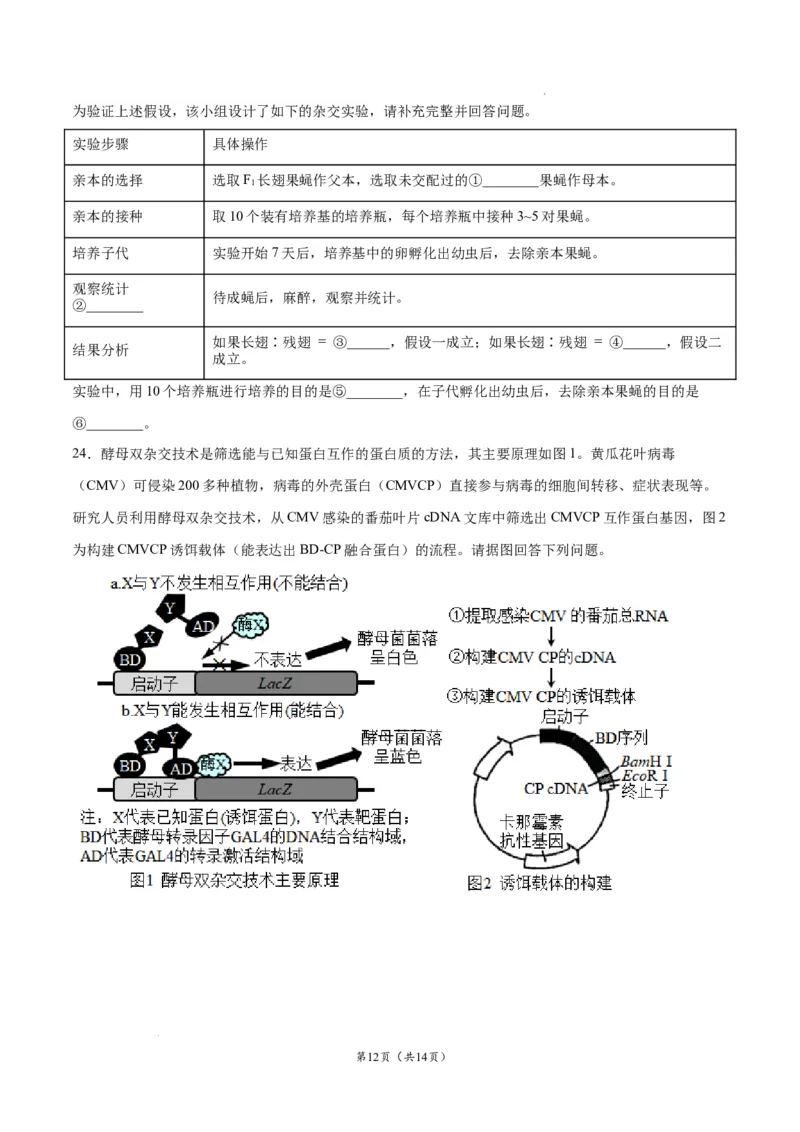 生物（江苏卷）（考试版）_2023高考押题卷_学易金卷-2023学科网押题卷（各科各版本）_2023学科网押题卷-学易金卷-生物_生物（江苏卷）-学易金卷：2023年高考考前押题密卷