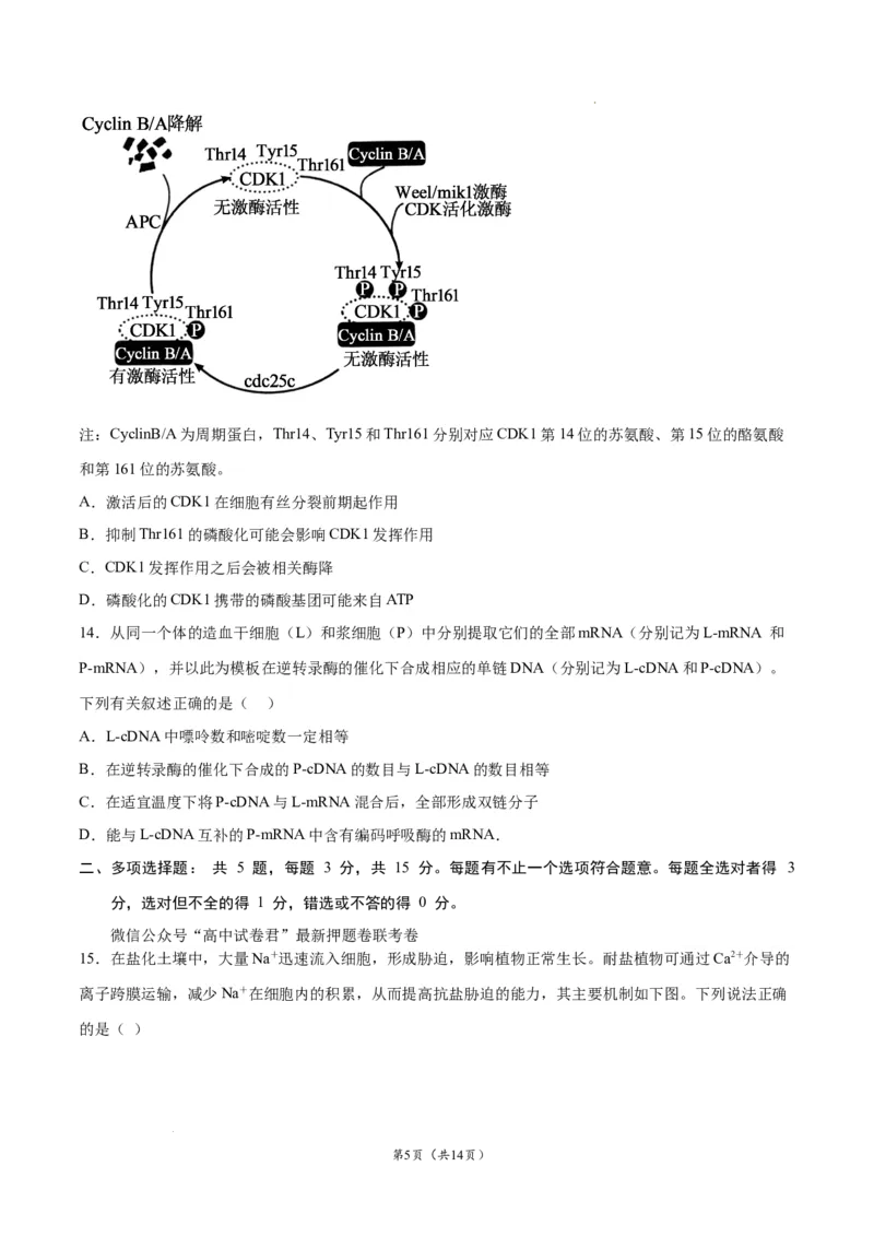 生物（江苏卷）（考试版）_2023高考押题卷_学易金卷-2023学科网押题卷（各科各版本）_2023学科网押题卷-学易金卷-生物_生物（江苏卷）-学易金卷：2023年高考考前押题密卷