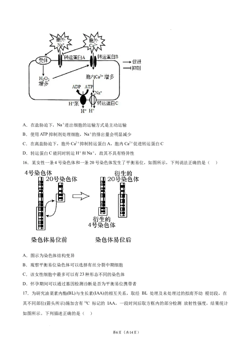 生物（江苏卷）（考试版）_2023高考押题卷_学易金卷-2023学科网押题卷（各科各版本）_2023学科网押题卷-学易金卷-生物_生物（江苏卷）-学易金卷：2023年高考考前押题密卷