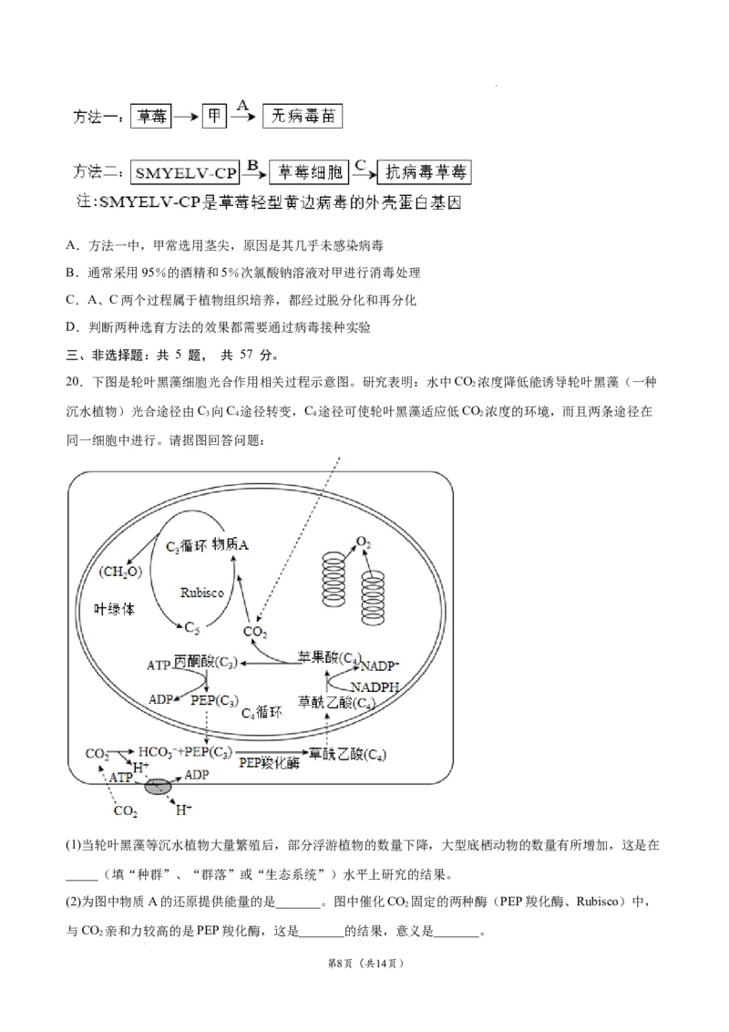 生物（江苏卷）（考试版）_2023高考押题卷_学易金卷-2023学科网押题卷（各科各版本）_2023学科网押题卷-学易金卷-生物_生物（江苏卷）-学易金卷：2023年高考考前押题密卷