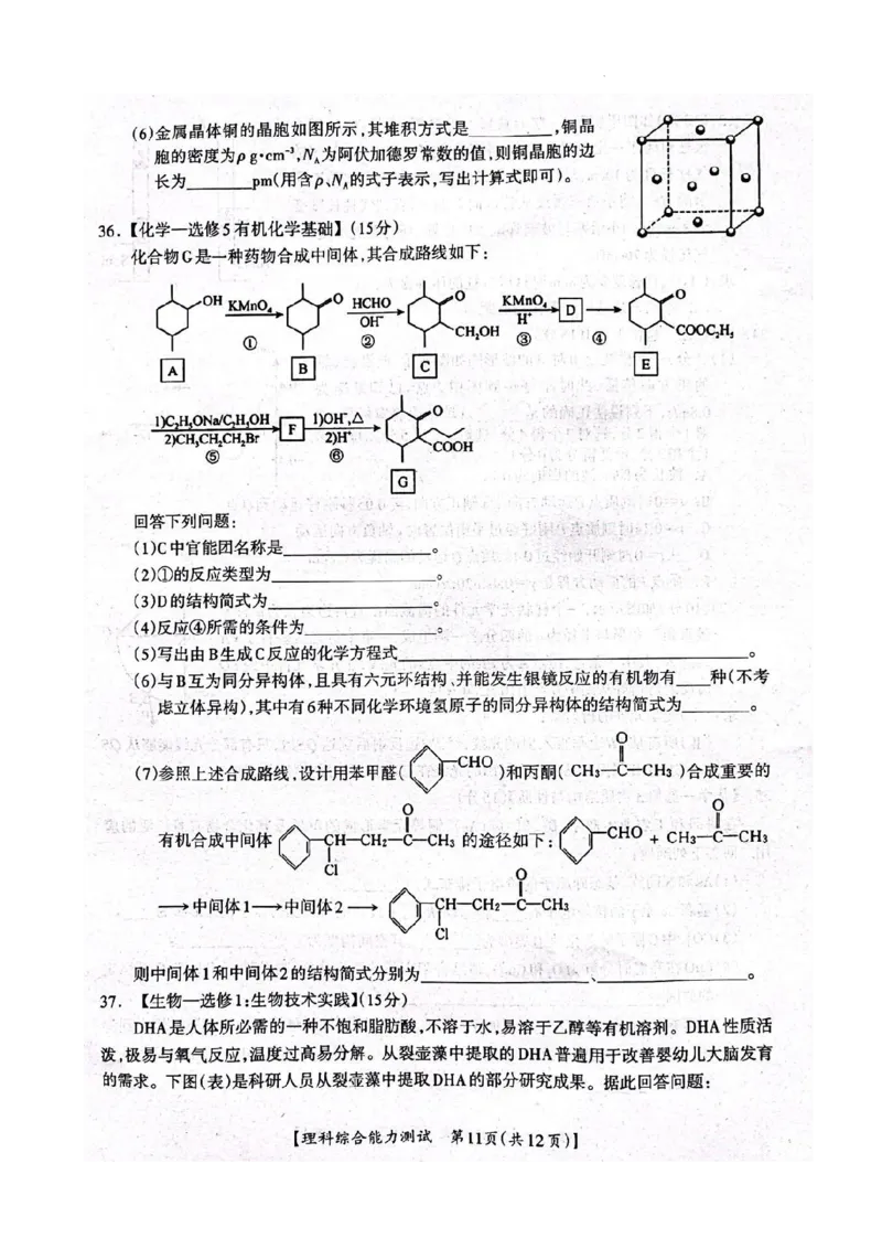 2023届广西桂三市高三联合调研考试丨理综(1)_2024年2月_022月合集_2023届广西桂林、河池、防城港三市高三下学期第二次联合调研考试全科