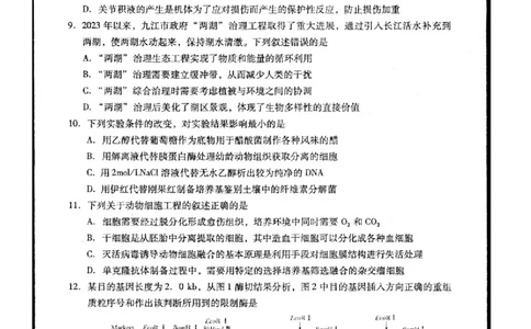 2024届江西省九江市高三下学期高考第二次模拟考试生物试题_2024年3月_013月合集_2024届江西省九江市高三下学期二模（九江二模）_2024届江西省九江市高三下学期二模（九江二模）生物
