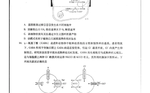 2024届江西省九江市高三下学期高考第二次模拟考试生物试题_2024年3月_013月合集_2024届江西省九江市高三下学期二模（九江二模）_2024届江西省九江市高三下学期二模（九江二模）生物