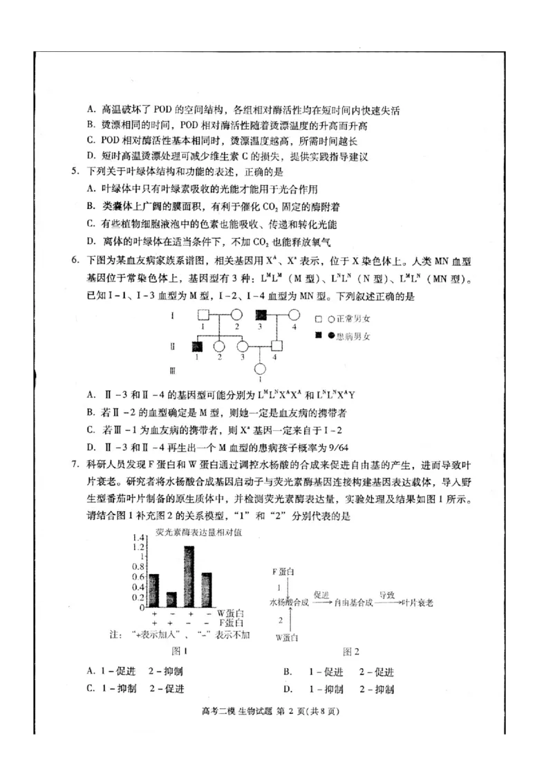 2024届江西省九江市高三下学期高考第二次模拟考试生物试题_2024年3月_013月合集_2024届江西省九江市高三下学期二模（九江二模）_2024届江西省九江市高三下学期二模（九江二模）生物