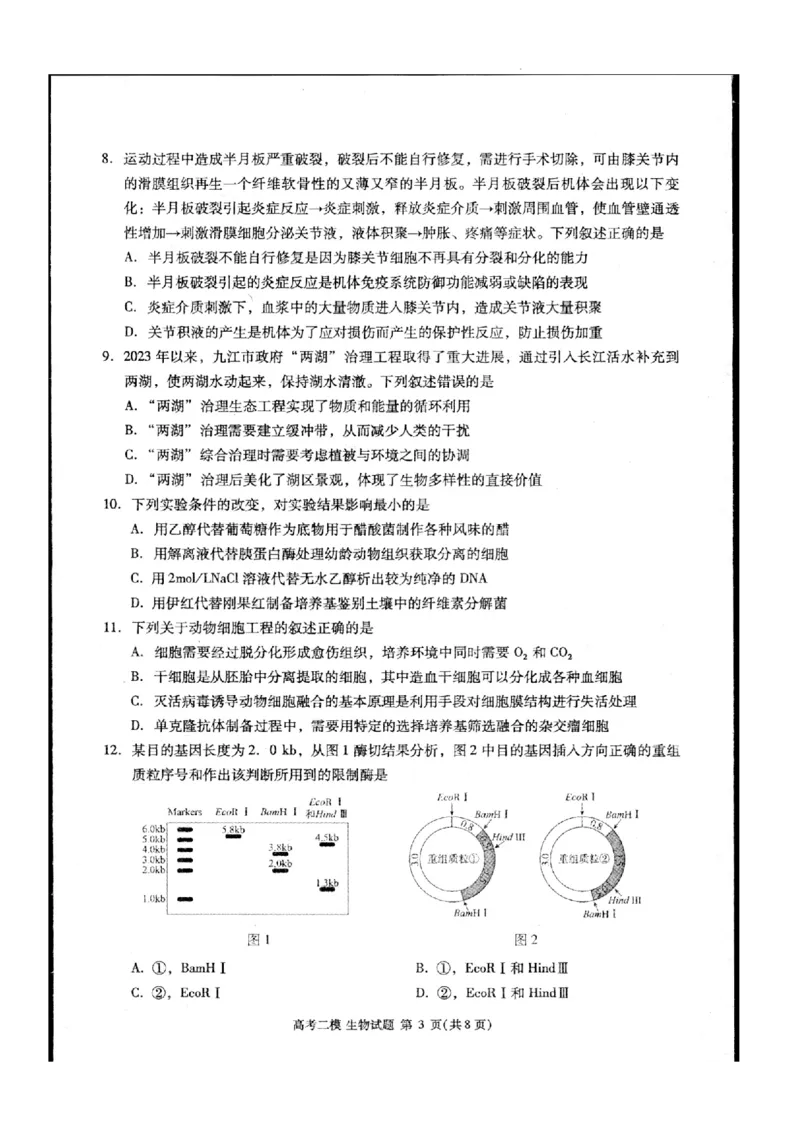 2024届江西省九江市高三下学期高考第二次模拟考试生物试题_2024年3月_013月合集_2024届江西省九江市高三下学期二模（九江二模）_2024届江西省九江市高三下学期二模（九江二模）生物