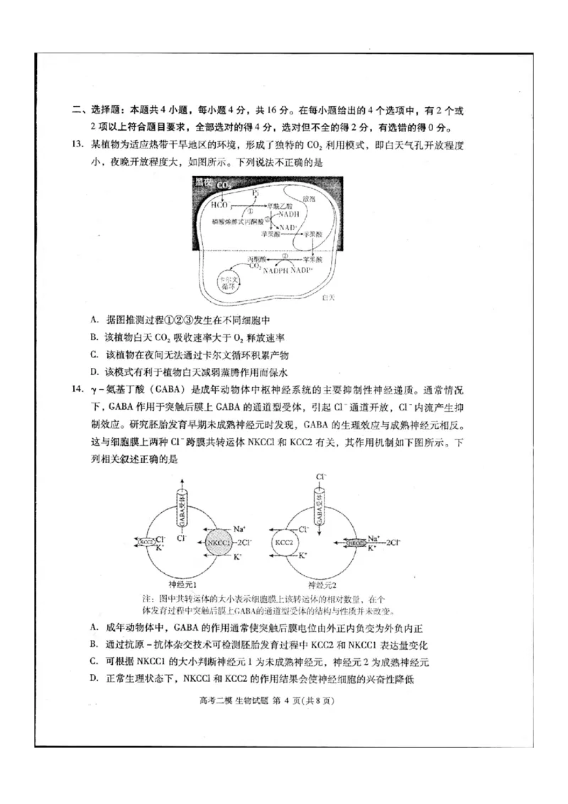 2024届江西省九江市高三下学期高考第二次模拟考试生物试题_2024年3月_013月合集_2024届江西省九江市高三下学期二模（九江二模）_2024届江西省九江市高三下学期二模（九江二模）生物