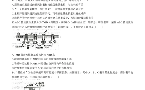 2024届广东省高三&ldquo;百日冲刺&rdquo;联合学业质量监测（一模）生物(1)_2024年2月_022月合集_2024届广东省高三百日冲刺联合学业质量监测