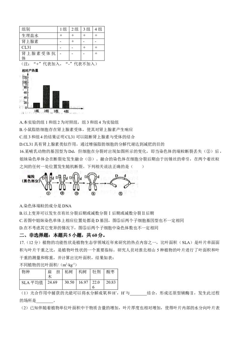 2024届广东省高三&ldquo;百日冲刺&rdquo;联合学业质量监测（一模）生物(1)_2024年2月_022月合集_2024届广东省高三百日冲刺联合学业质量监测