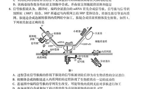 生物试卷_2023年8月_01每日更新_29号_2024届云南省三校高三上学期第二次联考（8月）_云南省三校2023-2024学年高三上学期第二次联考生物试卷（8月）+PDF版含答案