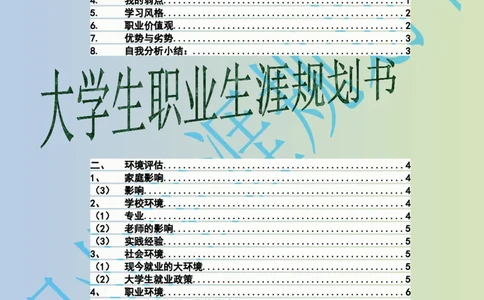 大学生职业生涯规划书电子商务专业_E6-职业规划_13电子商务专业