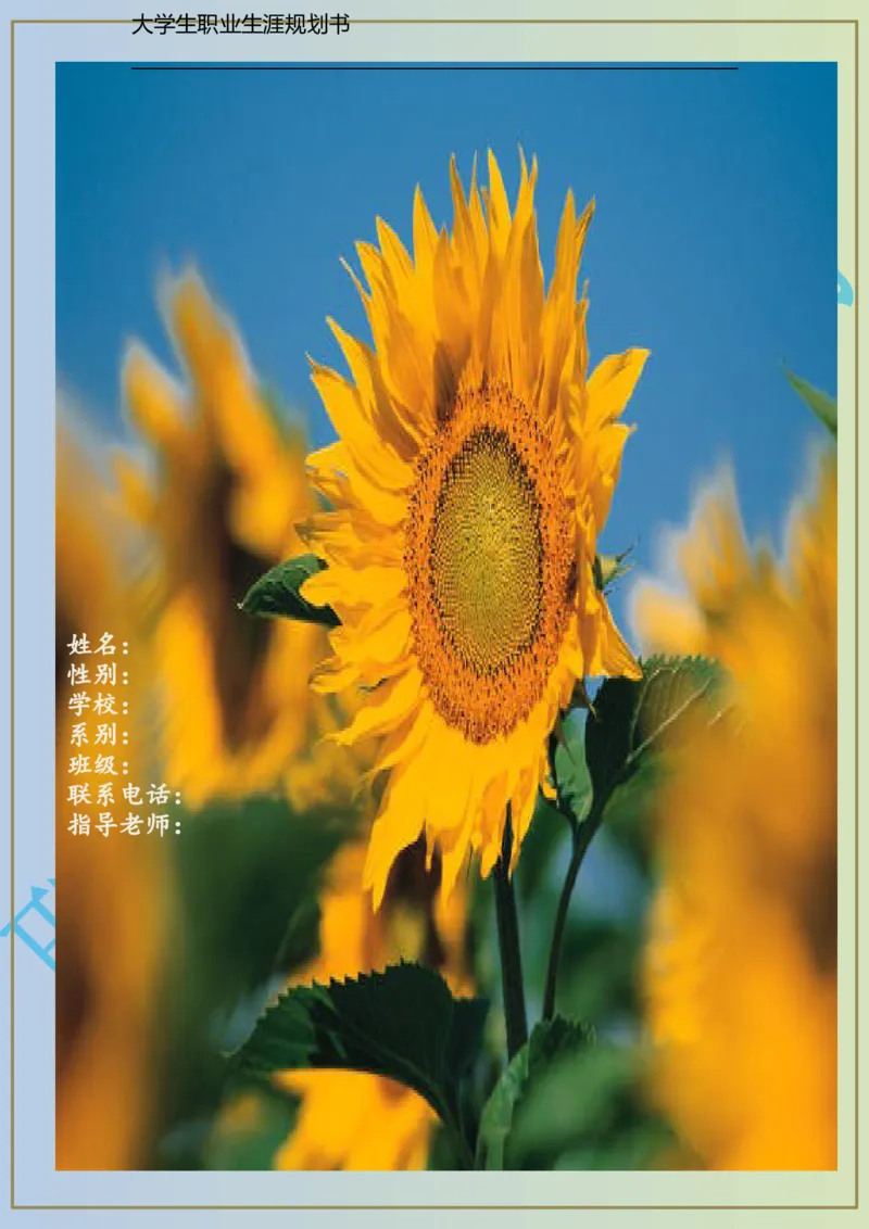 大学生职业生涯规划书电子商务专业_E6-职业规划_13电子商务专业