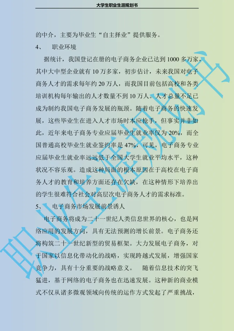 大学生职业生涯规划书电子商务专业_E6-职业规划_13电子商务专业
