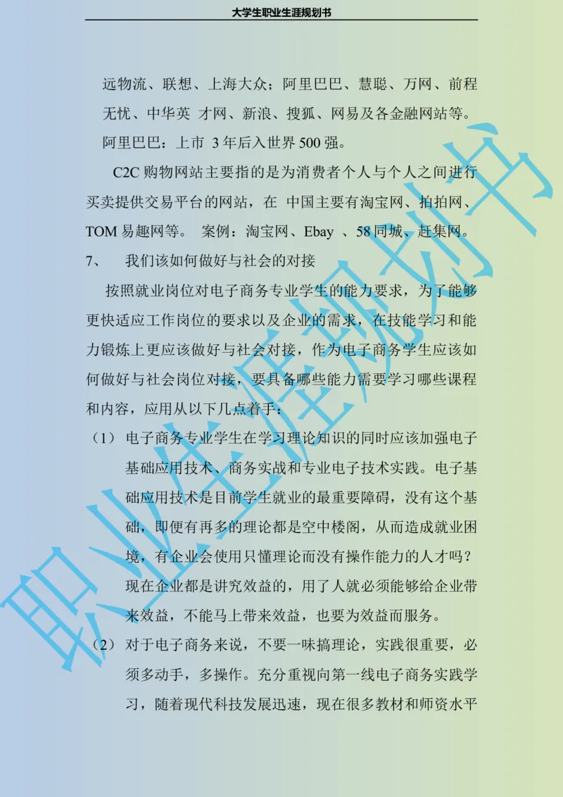 大学生职业生涯规划书电子商务专业_E6-职业规划_13电子商务专业