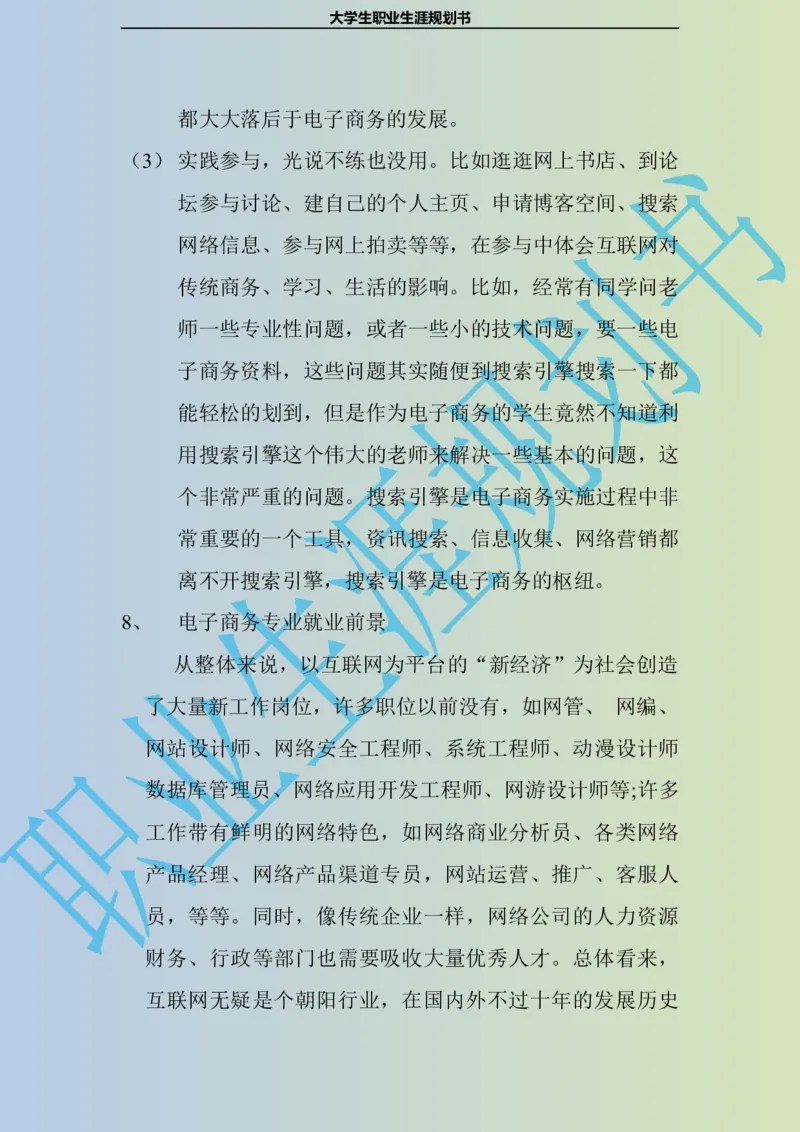 大学生职业生涯规划书电子商务专业_E6-职业规划_13电子商务专业