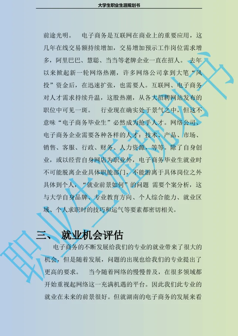大学生职业生涯规划书电子商务专业_E6-职业规划_13电子商务专业