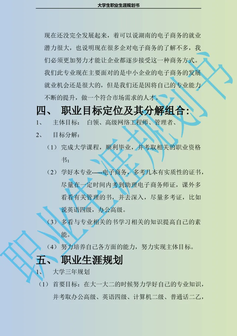 大学生职业生涯规划书电子商务专业_E6-职业规划_13电子商务专业