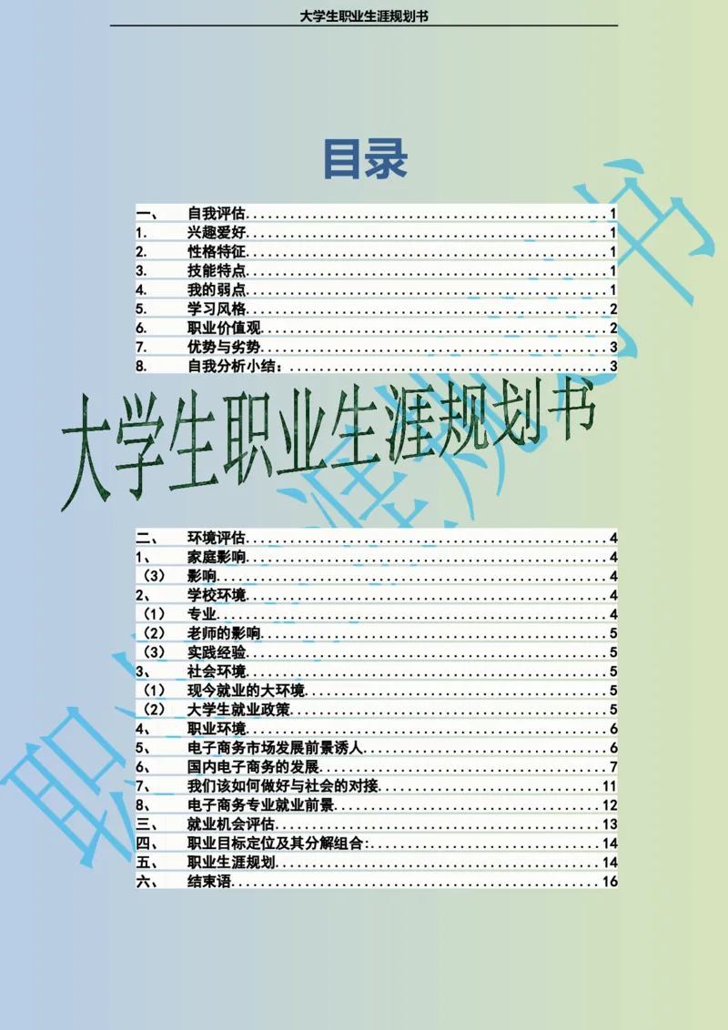 大学生职业生涯规划书电子商务专业_E6-职业规划_13电子商务专业