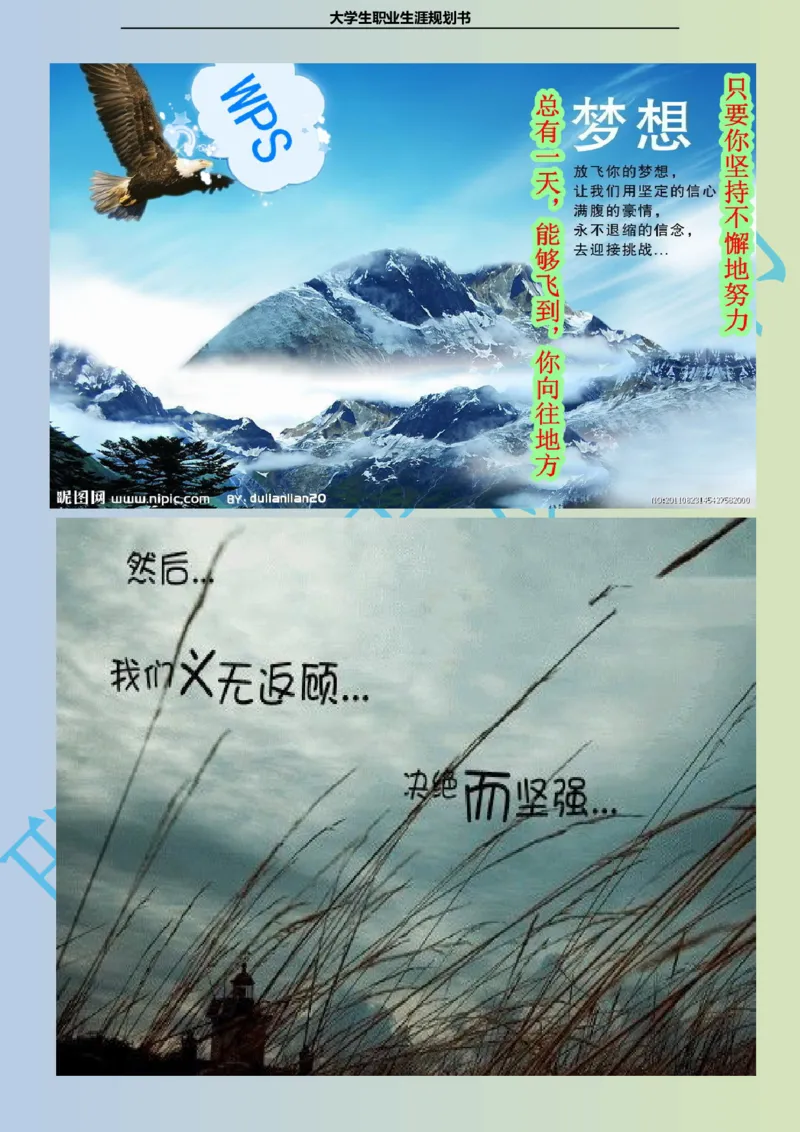 大学生职业生涯规划书电子商务专业_E6-职业规划_13电子商务专业