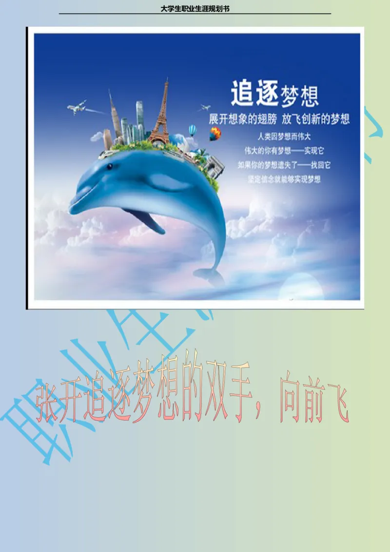 大学生职业生涯规划书电子商务专业_E6-职业规划_13电子商务专业