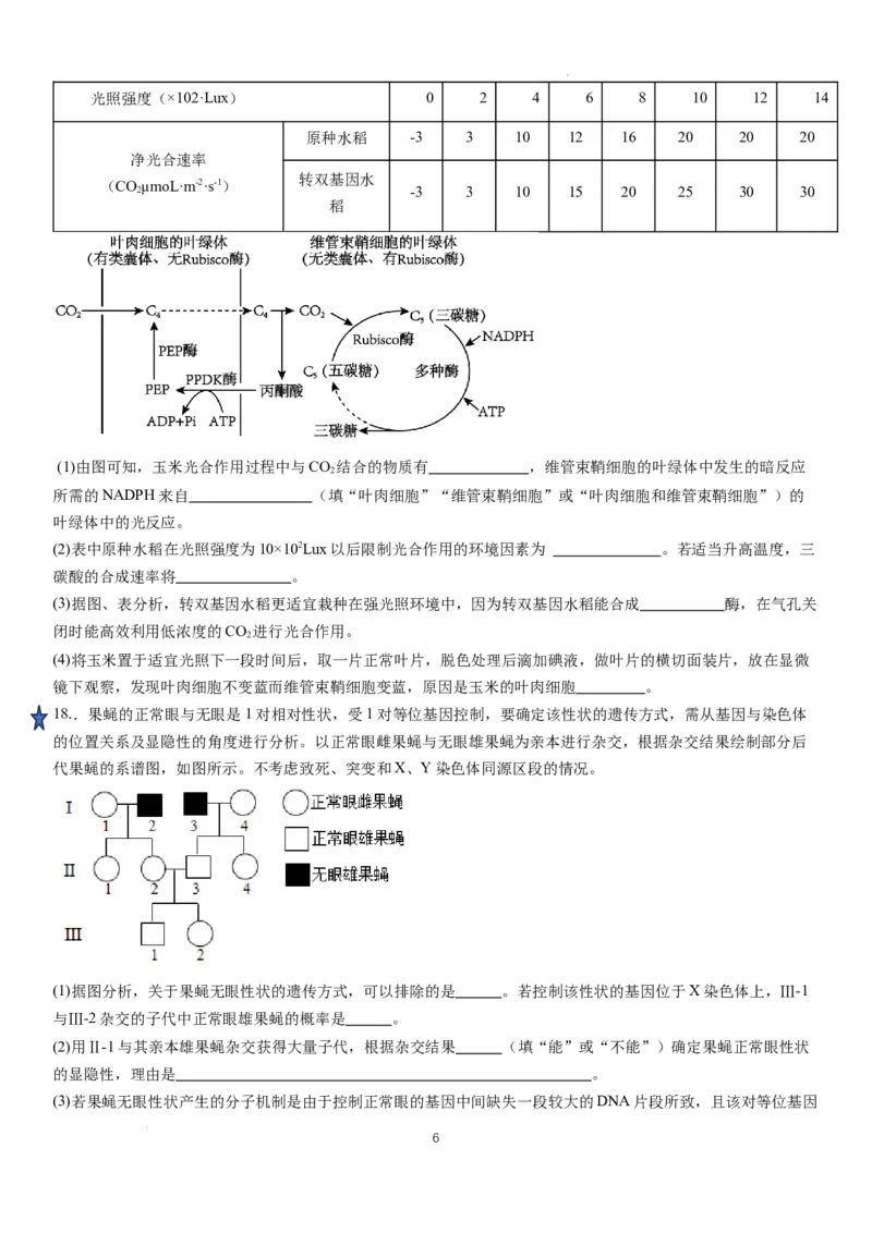 湖南省岳阳县一中2024届高三开学考试生物(1)_2023年8月_028月合集_2024届湖南省岳阳县一中高三开学考试