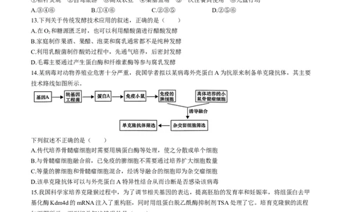 2024届安徽省合肥一中高三下学期最后一卷（三模）生物+答案_2024年5月_01按日期_28号_2024届安徽省合肥一中高三下学期最后一卷（三模）