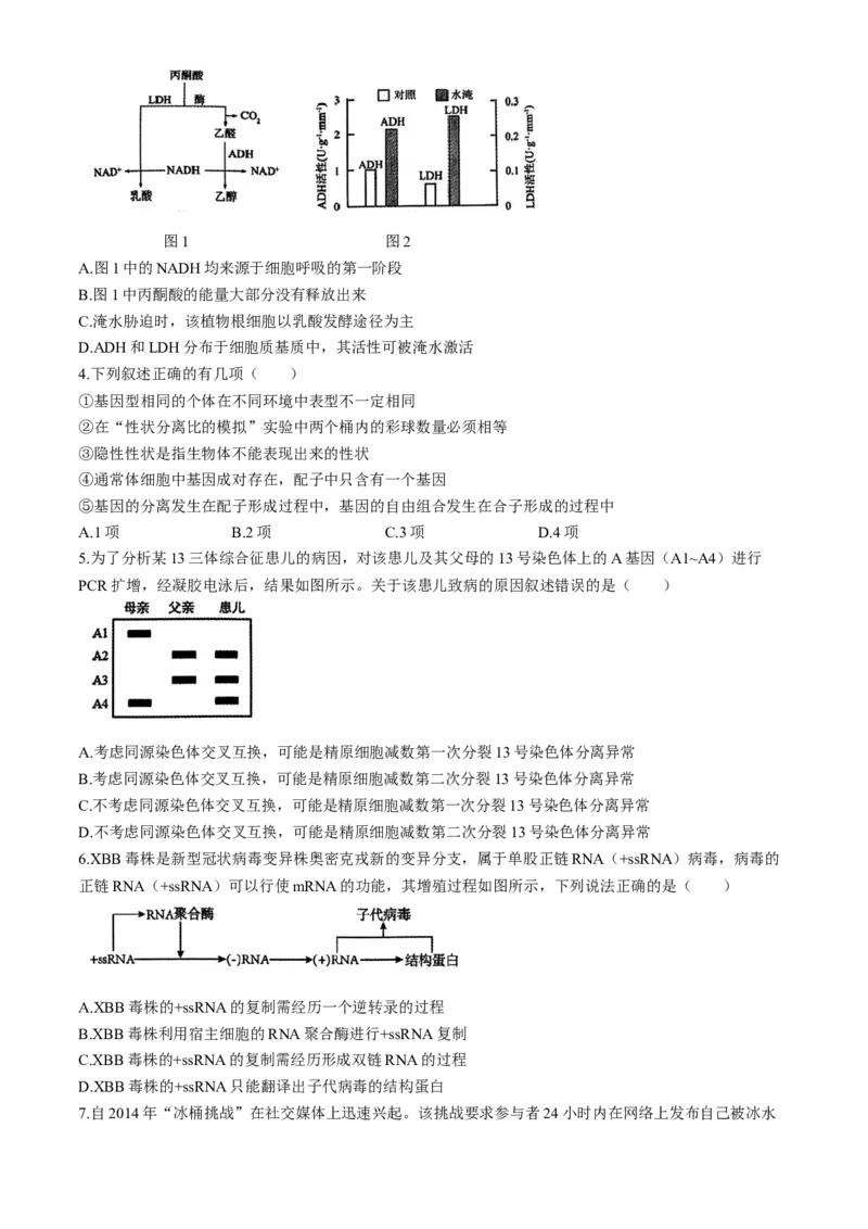 2024届安徽省合肥一中高三下学期最后一卷（三模）生物+答案_2024年5月_01按日期_28号_2024届安徽省合肥一中高三下学期最后一卷（三模）