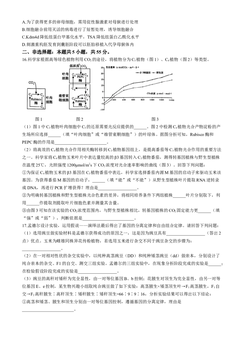 2024届安徽省合肥一中高三下学期最后一卷（三模）生物+答案_2024年5月_01按日期_28号_2024届安徽省合肥一中高三下学期最后一卷（三模）