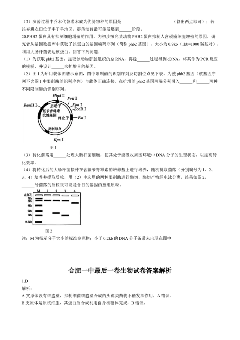 2024届安徽省合肥一中高三下学期最后一卷（三模）生物+答案_2024年5月_01按日期_28号_2024届安徽省合肥一中高三下学期最后一卷（三模）