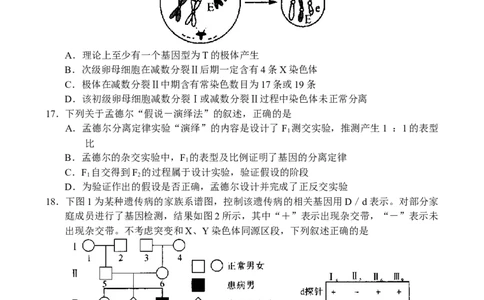 河南省中原名校联盟2024届高三上学期9月调研考试&mdash;&mdash;生物_2023年9月_01每日更新_22号_2024届河南省中原名校联盟高三上学期9月调研考试