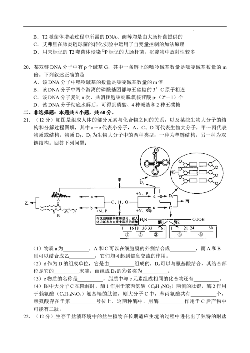 河南省中原名校联盟2024届高三上学期9月调研考试&mdash;&mdash;生物_2023年9月_01每日更新_22号_2024届河南省中原名校联盟高三上学期9月调研考试