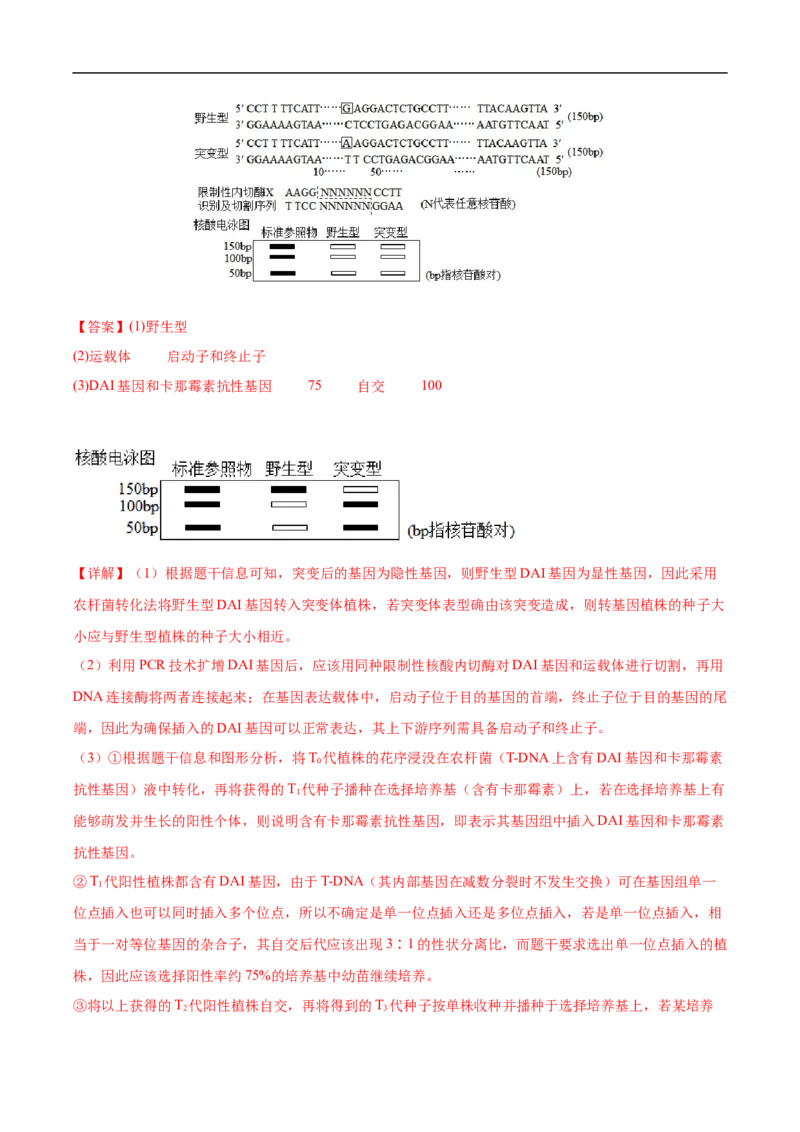 专题10基因的自由组合定律-五年（2019-2023）高考生物真题分项汇编（全国通用）（解析版）_赠送：2008-2024全套高考真题_高考生物真题