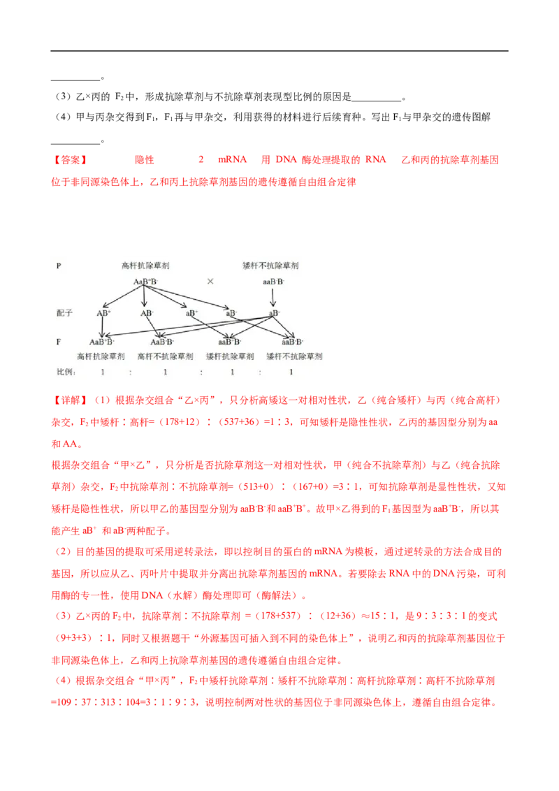 专题10基因的自由组合定律-五年（2019-2023）高考生物真题分项汇编（全国通用）（解析版）_赠送：2008-2024全套高考真题_高考生物真题